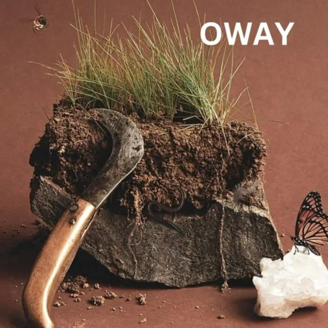 OWAY is the best way! 💚🌱 @owayusaofficial 
Clean, sustainable, organic, and luxurious…
Your hair, and the earth will thank you! 
There are so many reasons to try OWAY.
.
Available IN-STORE only. 
Available in BOTH storefronts. 
.
Pop in today, and let our experts show you the Organic Way. 🌍 ✨
.
#organicbeauty #beautyguru #dptproducts #instoreexclusive #salonproducts #organichaircare #naturalbeauty #nature #protectourplanet #weekendwarriors #greenmission #natureconcious #motherearthhair #salonlife #canva #bestinthebay #owaysalons #owayusaofficial